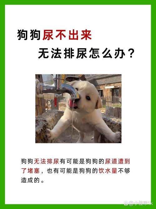无法排尿
