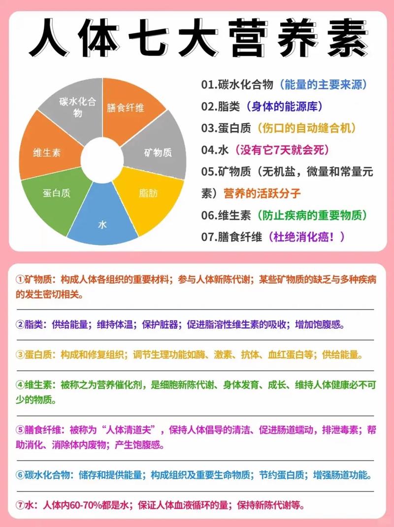  营养素