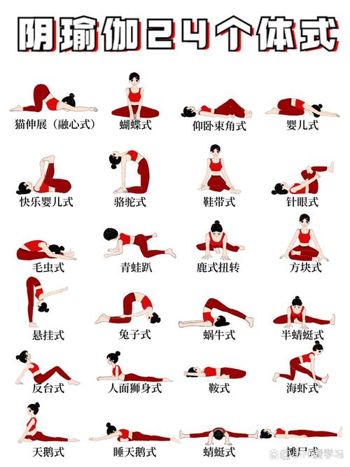 体式推荐